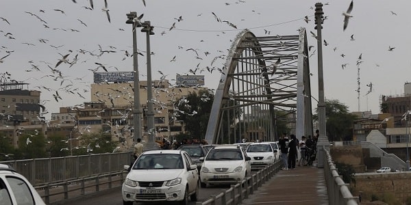 White bridge