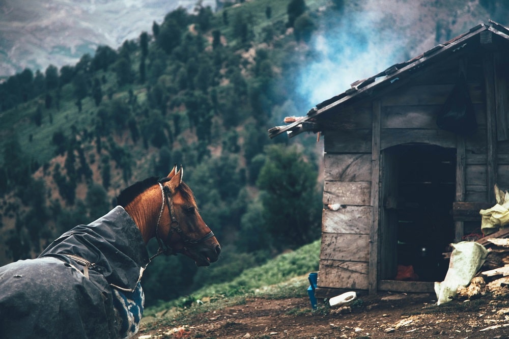 Masal Travel Guide
